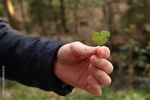 young man holds in his hand a green leaf of clover on the background of the forest, the concept of the Irish holiday St. Patrick's Day