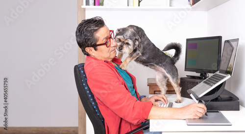 Latino freelancer working on his computer with external monitor and graphic tablet while his dog is crossed photo