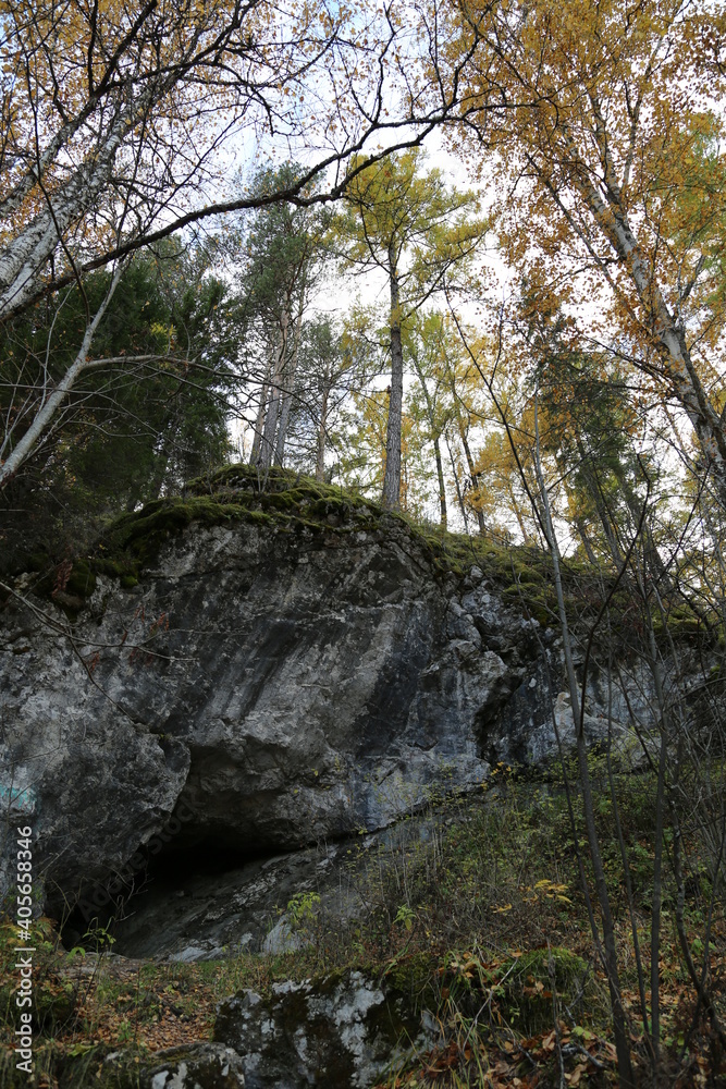 Fototapeta premium Landscape. Rocks and forest. Autumn nature. Outdoor.