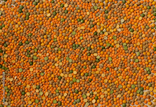 Dry lentils background red and green