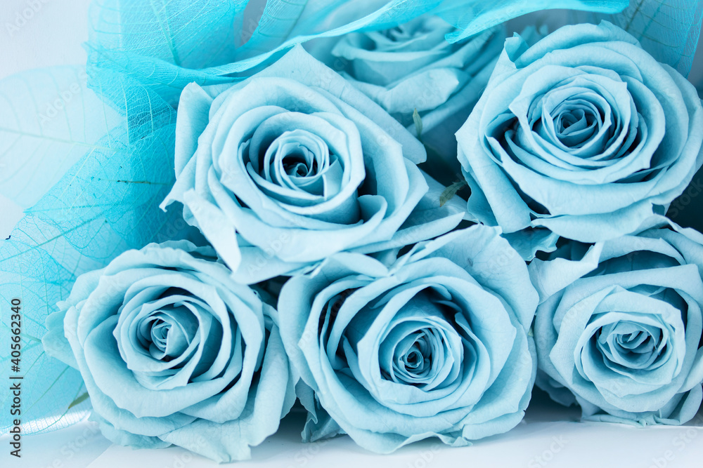 プリザーブドフラワーの青いバラとスケルトンリーフの背景 Stock Photo Adobe Stock