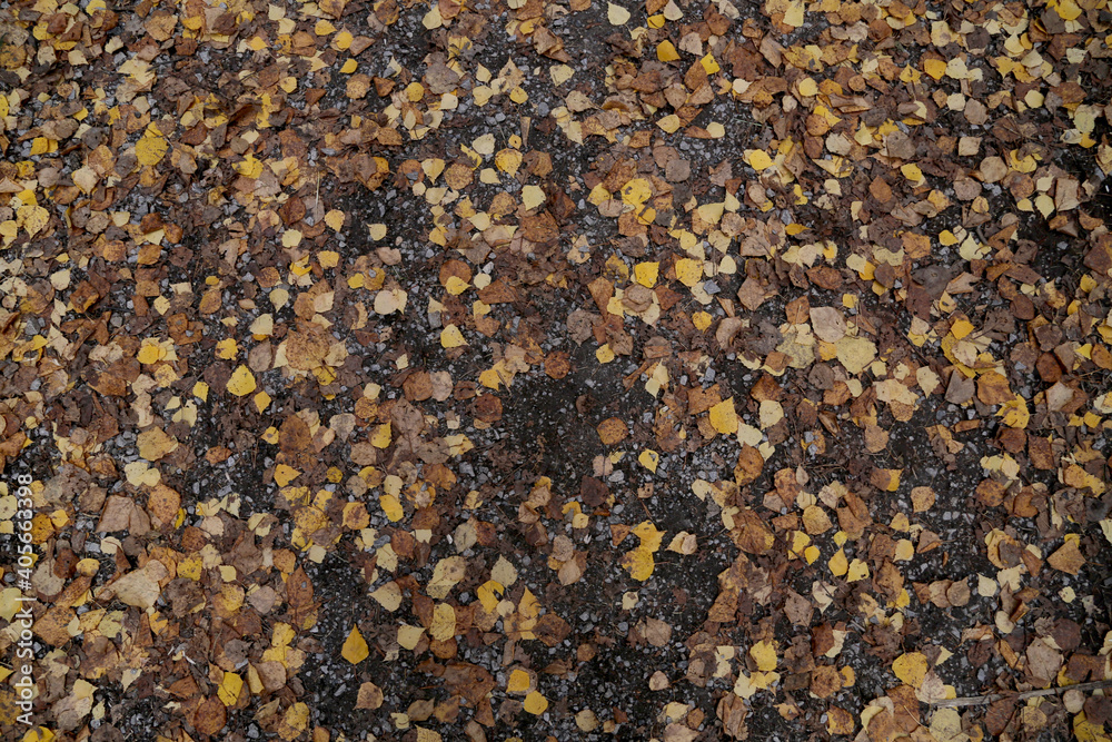 The texture of the rock. Mountain cliff of rock surface. Natural cave wall. The texture of the rock. Mountain cliff of rock surface. Natural cave wall.