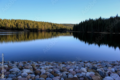 reflection in the lake