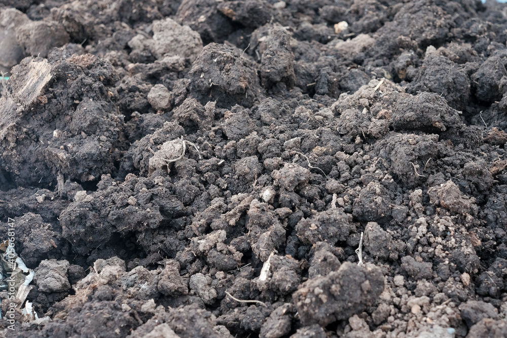 Closeup of a plowed field, fertile, black soil. Closeup of a plowed field, fertile, black soil.