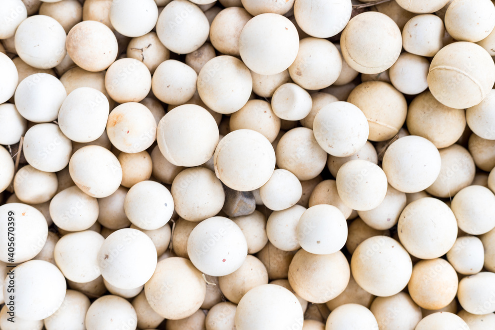 White round stone balls background texture White round stone balls background texture