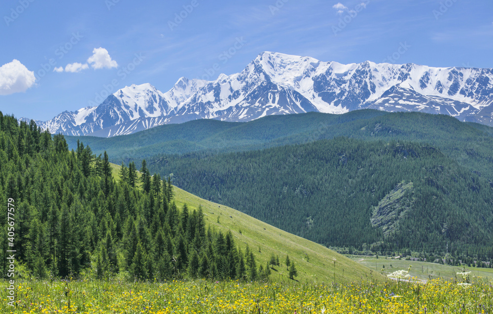 Sunny day in the Altay Mountains, summer greens and snow on the peaks