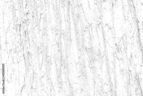 White wooden board texture background. Surface white wood wall texture for background. © admin_design