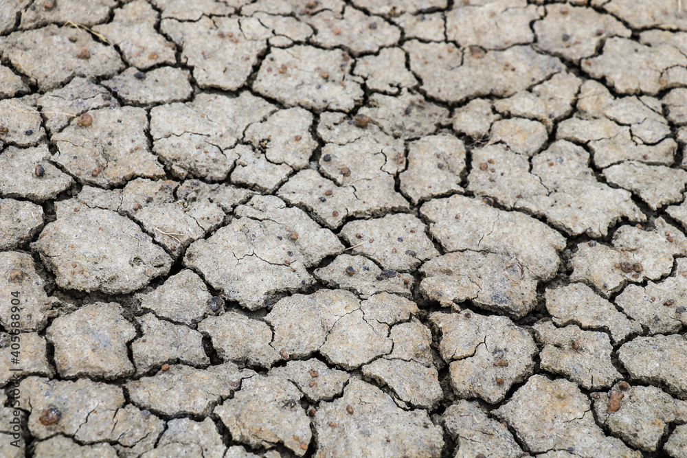 The ground was cracked due to drought. The ground was cracked due to drought.
