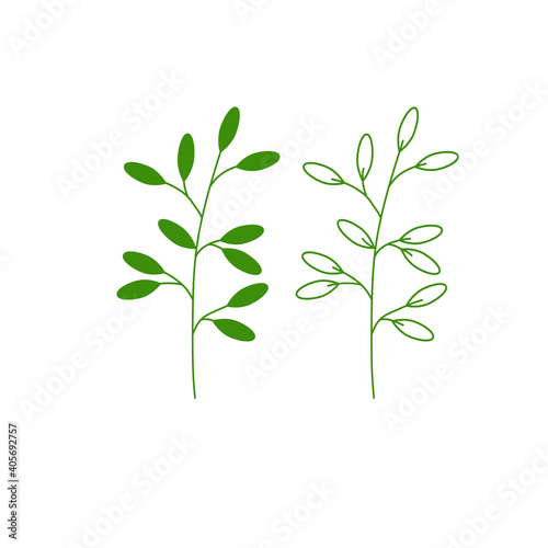 Green branch with leaves. Botanical illustration. A set of floral herbs for composition. Isolated elements for wedding invitations, greeting cards or web pages. Vector illustration. Flat style.