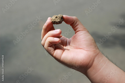 Fotografía hand holding a piece of rock