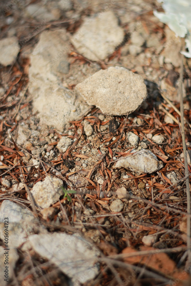 nature, dry soil, rocks, pebbles nature, dry soil, rocks, pebbles