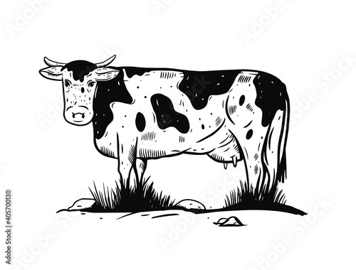 Cow sketch isolated. Hand drawn vector illustration. Black color.