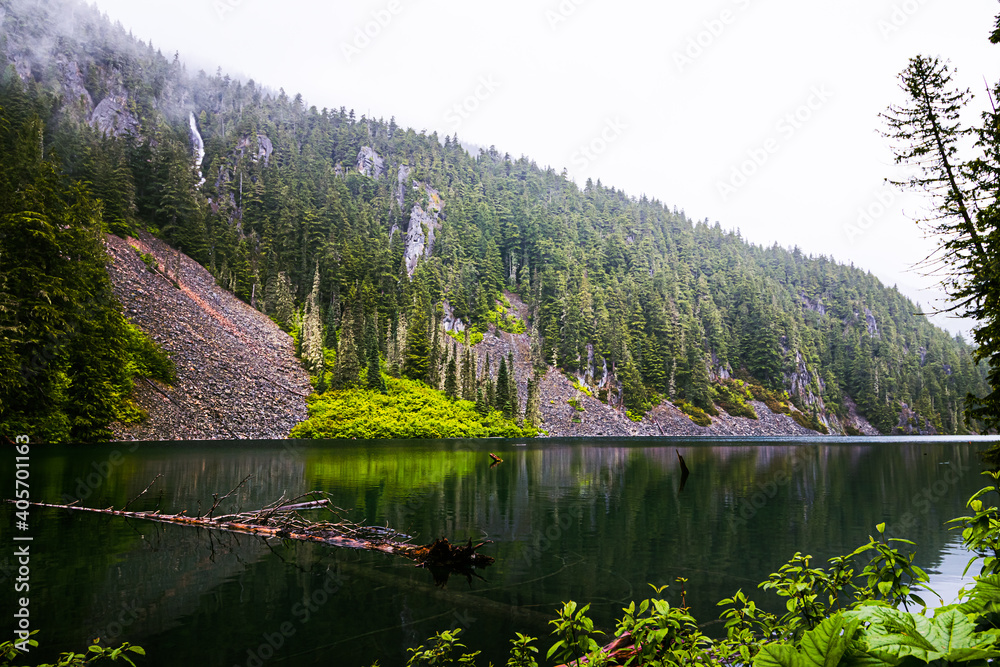 Fototapeta premium Greendrop