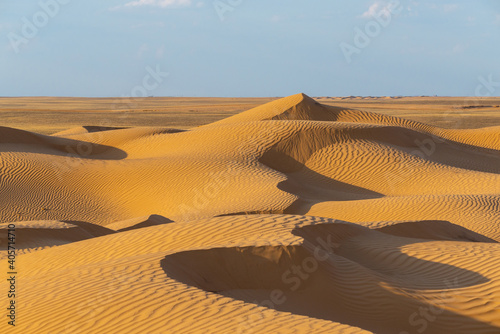 Huge dunes of the desert. Beautiful structures of sandy barkhan or sand-dune. Waves by wind on sand surface