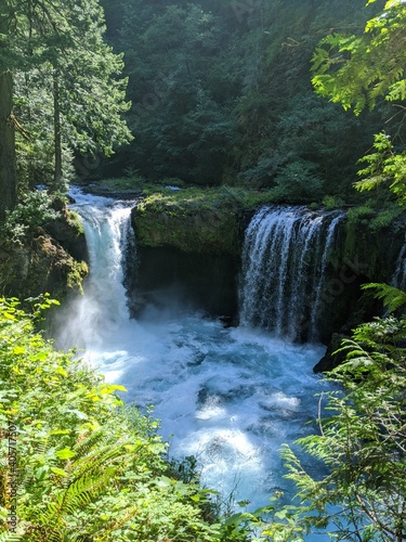 waterfall in the forest
