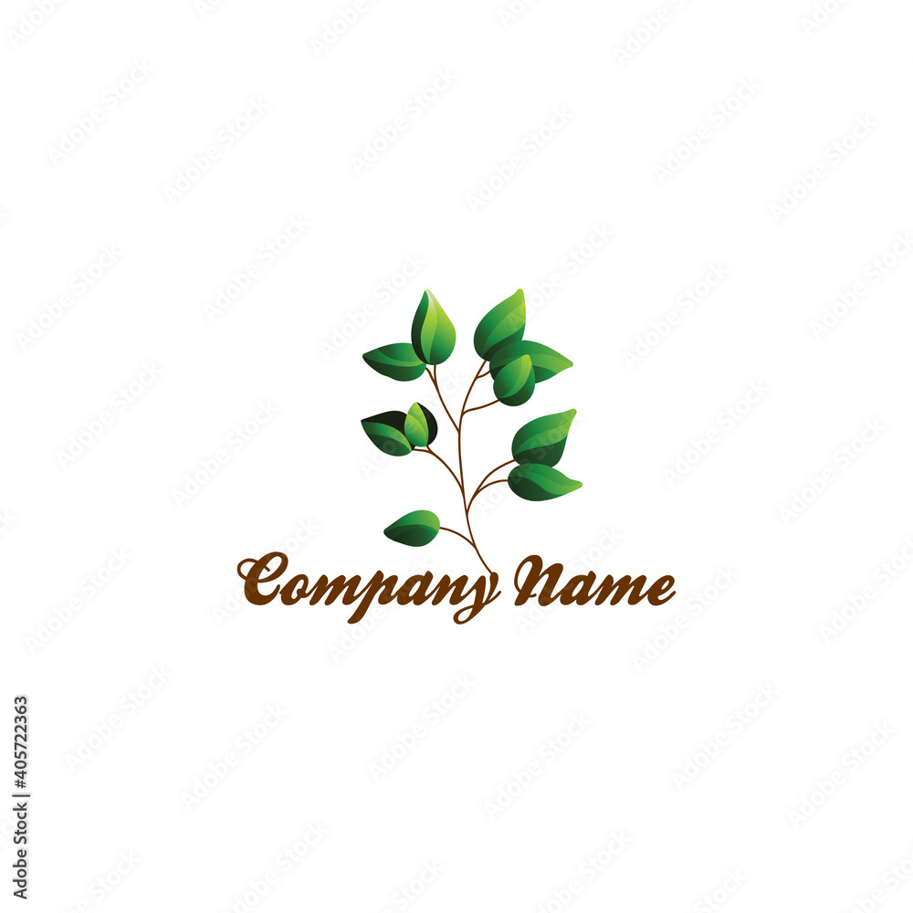 Simple modern and elegant leaf vector design in green color Simple modern and elegant leaf vector design in green color