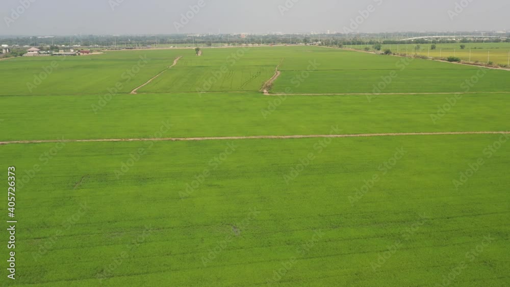 aerial view from flying drone of Field rice with landscape green pattern nature background, top view field rice
aerial view from flying drone of Field rice with landscape green pattern nature background, top view field rice