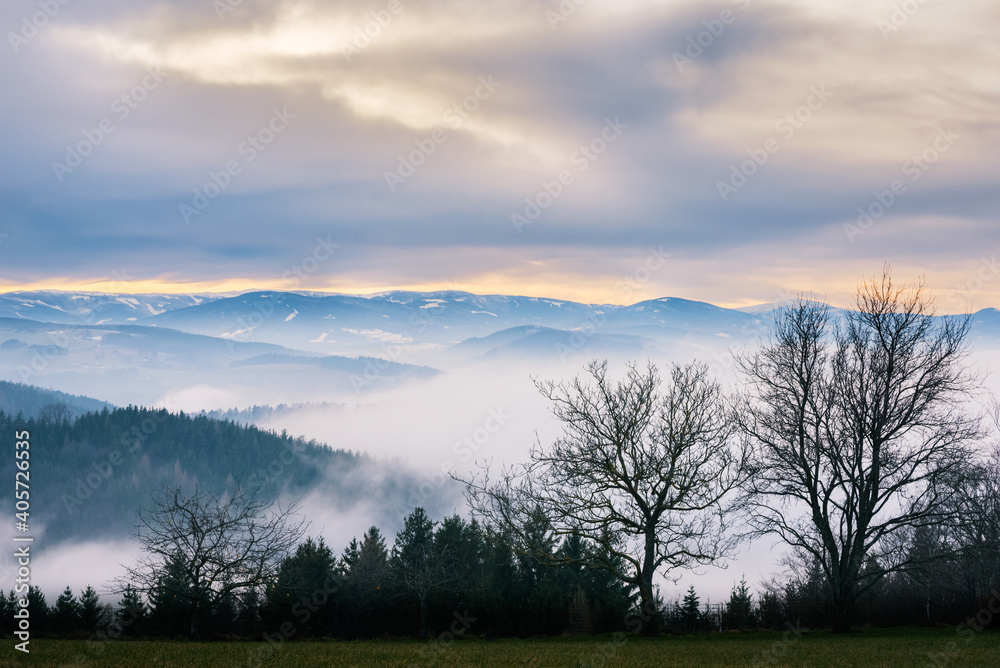 landscape with snow in winter lower austria