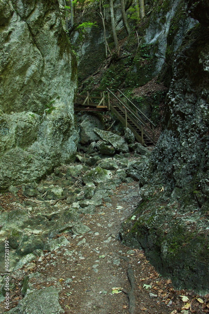 Obraz premium Hiking track in Steinwandklamm, Lower Austria, Austria, Europe 
