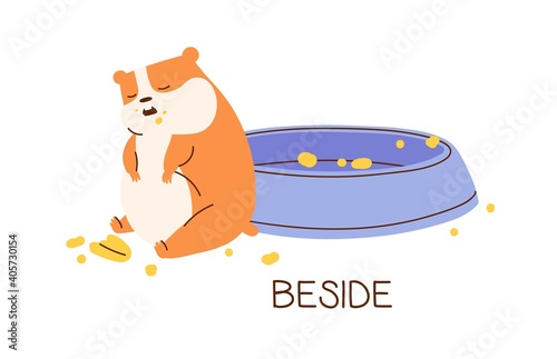 Cute fat hamster sitting beside its empty bowl demonstrating English preposition of place. Funny animal and inscription isolated on white background. Flat vector illustration for vocabulary learning