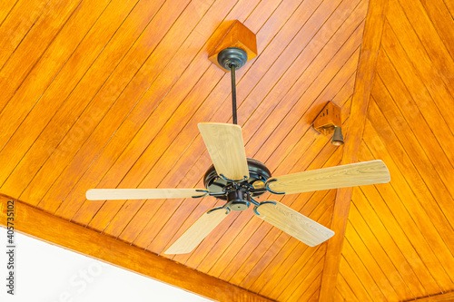 Ceiling fan decoration interior of room