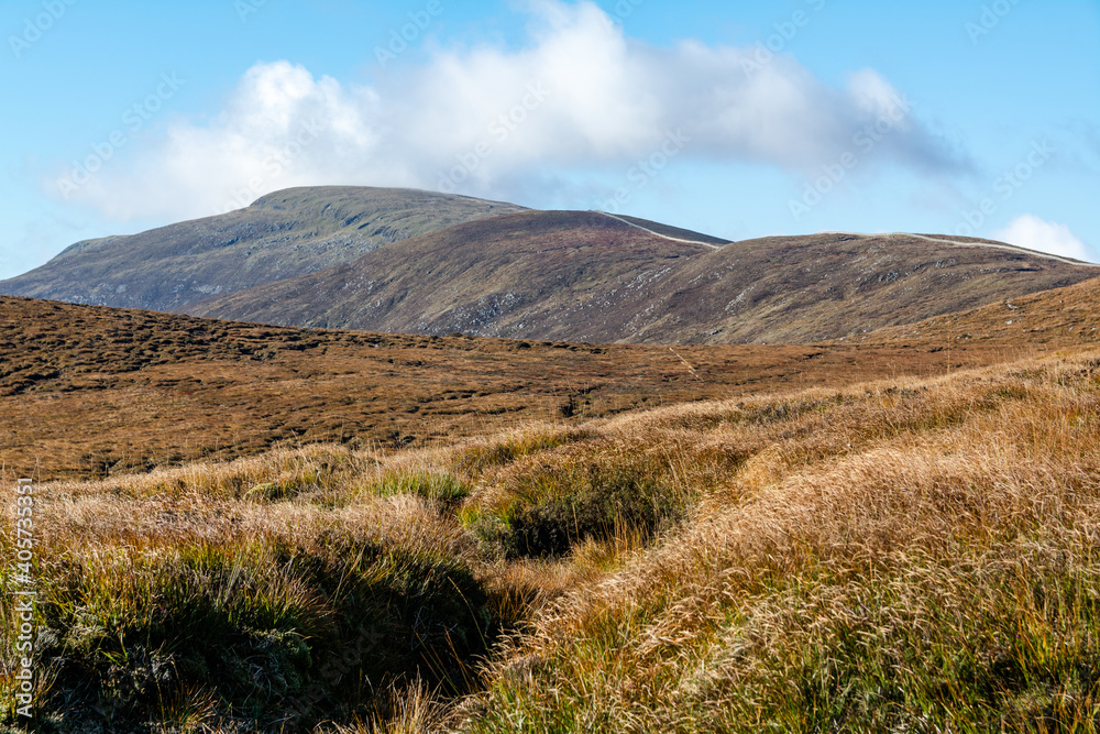 Beautiful Irish mountain landscape with golden grass at the foreground with blue sky and soft white coluds