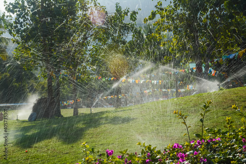 sprinkler in the garden