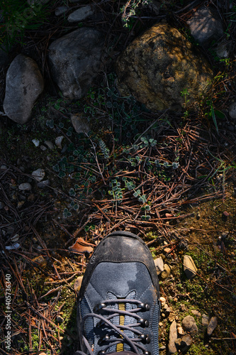 Hiking boots in the woods. Walking in the forest. A boot steping the moss covering the soil and stones