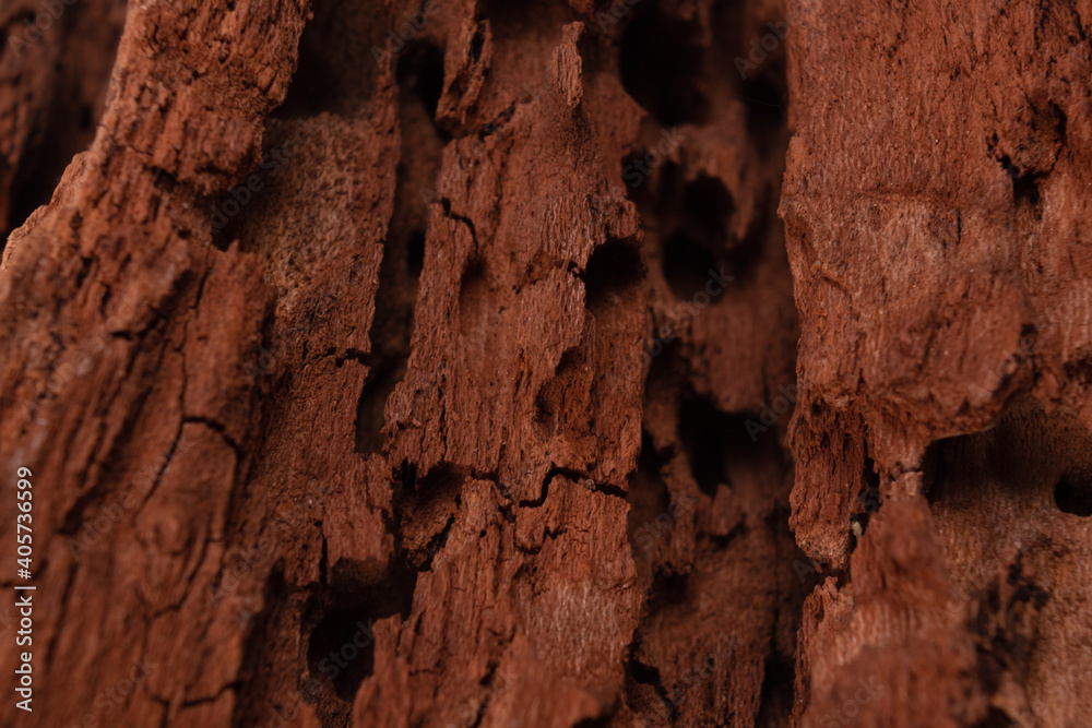 wood cracked and mottled with holes wood cracked and mottled with holes