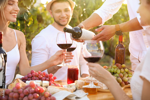 Wall Mural Friends holding glasses of wine and having fun in vineyard, closeup