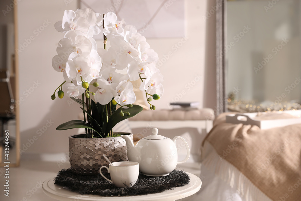 Beautiful white orchids and tea set on table in room, space for text Beautiful white orchids and tea set on table in room, space for text
