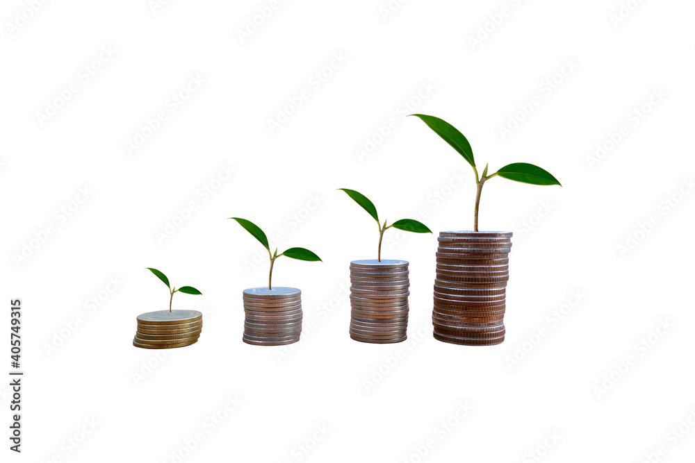 A coin with a tree on a white background A coin with a tree on a white background
