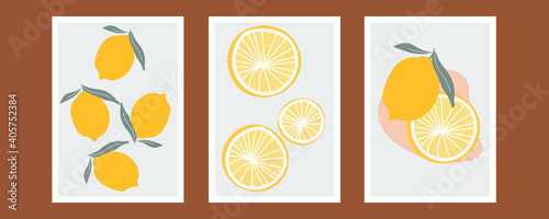 Lemon tree branch with yellow lemon, flowers and green leaves isolated on white. Doodle. Set of fresh, whole fruits. Citrus. Minimal style. Black line. Vector illustration of handwriting.
