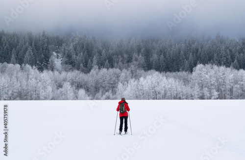 Woman in red coat skiing in a barren wintry wilderness of the Methow Valley, with a snow-covered pine forest in the distance - Washington, USA 