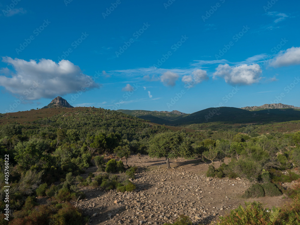 Idyllic rural landscape with View of limestone mountain Monte Oseli, green forest, trees and hills in region Ogliastra, Urzulei Sardinia, Italy, summer, blue sky