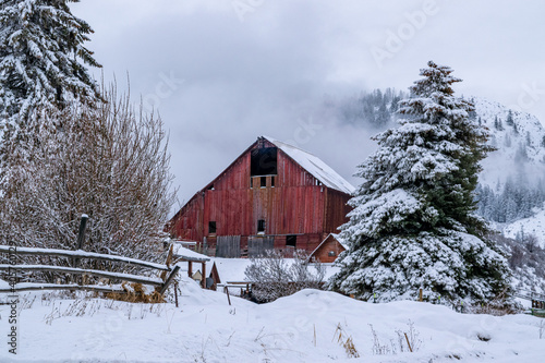 Old Wooden Red Barn in Snow-Covered, Foggy Winter Forest - Methow Valley, Washington, USA © Nate Hovee