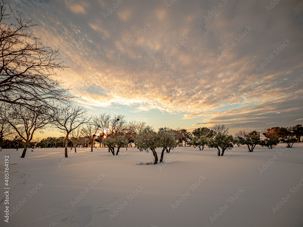 Paisaje nevado en invierno con arboles