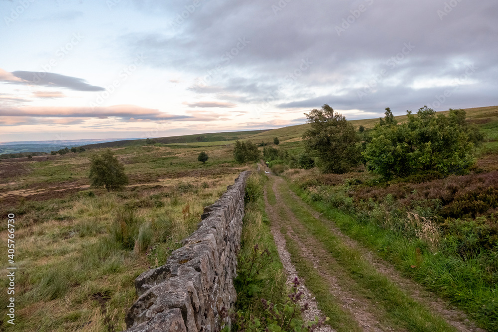 County track with stone wall trees and fields in the Peak District County track with stone wall trees and fields in the Peak District