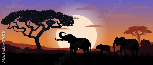 Photography Drawing silhouette of an elephant family