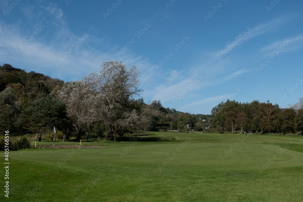 Large sliver tree on golf course with green and flag
