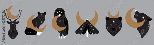 mystic collection of woodland animals with crescent moon. Moth, bear, wolf, fox, deer, owl. Celestial elements. Vector magic animals. Boho Woodland Wildlife