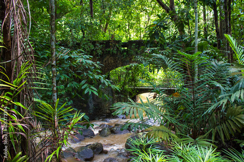 Waterfall at Penang Botanical Garden, Penang island, Malaysia 