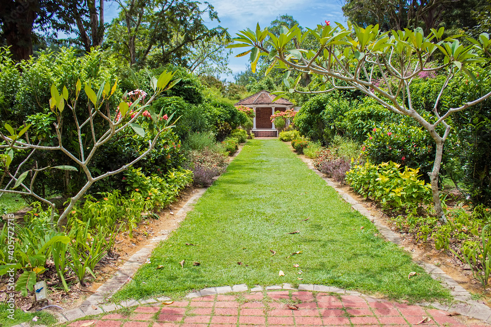 Green territory of in Penang Botanical Garden, Penang island, Malaysia Green territory of in Penang Botanical Garden, Penang island, Malaysia