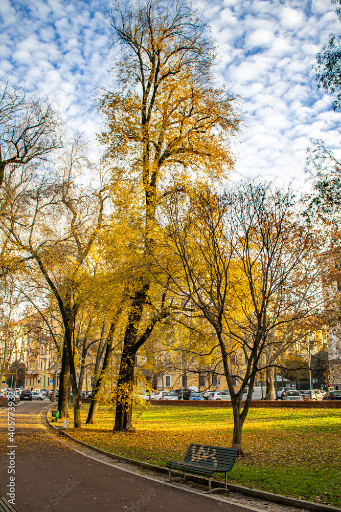 An Autumn with beautiful trees in Francesco Rucci Garden- Park