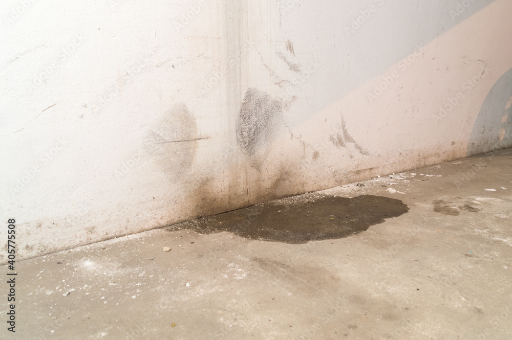 Water damage in basement caused by sanitary drain.