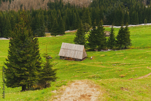 Shepherd's hut shelter on meadow. Highlander wooden hut in Zakopane (Poland). Traditional wooden hut in Tatra mountains. Vintage shepherd's hut in the pasture at the foot of mountain