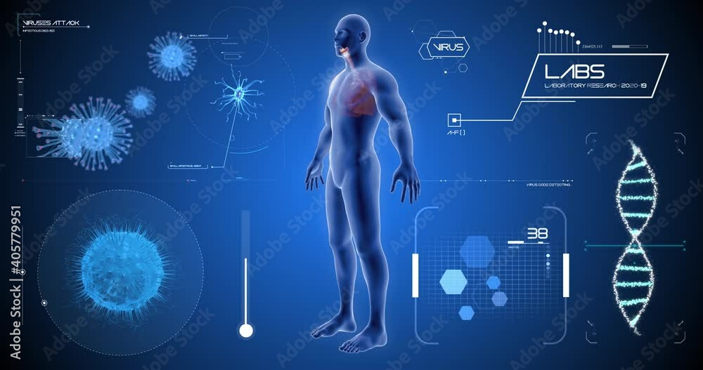 body scan, viruses, highly detailed anatomy, covid, medical screen 3D render, human anatomy, computer anatomy, body skeleton, X-ray scan