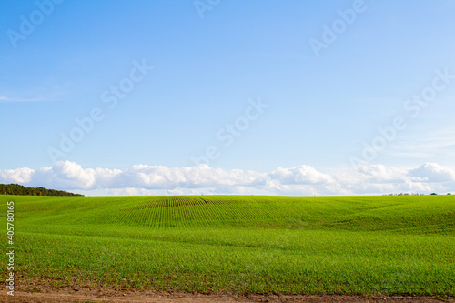 green field of grass and perfect blue sky with clouds, nature landscape background © fantom_rd