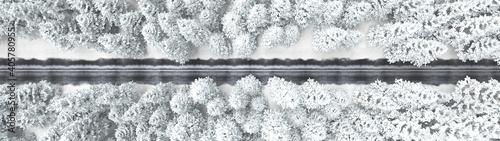 Vue aérienne de la forêt enneigée et d'une route au format paysage. Rendu 3D
