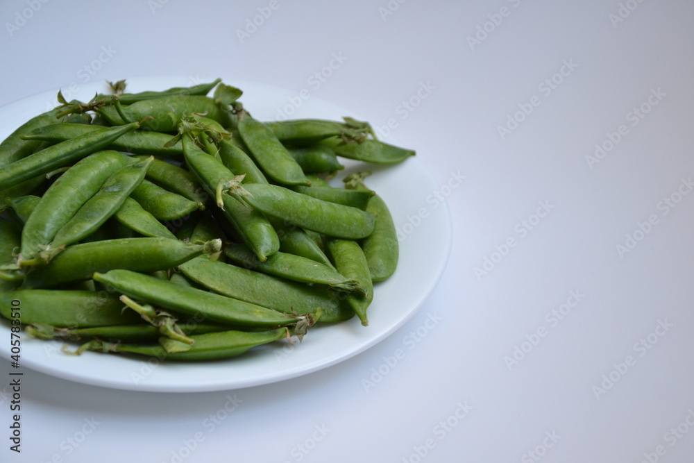 Green pea pods from farmland. Pea freshly picked. Organic spring pea pods. Fresh vegetables. Healthy eating. Country garden harvest. Green pea pods from farmland. Pea freshly picked. Organic spring pea pods. Fresh vegetables. Healthy eating. Country garden harvest.